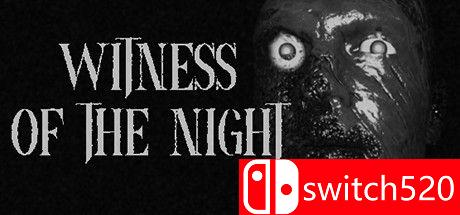 《夜晚的见证人（Witness of the Night）》游戏主图