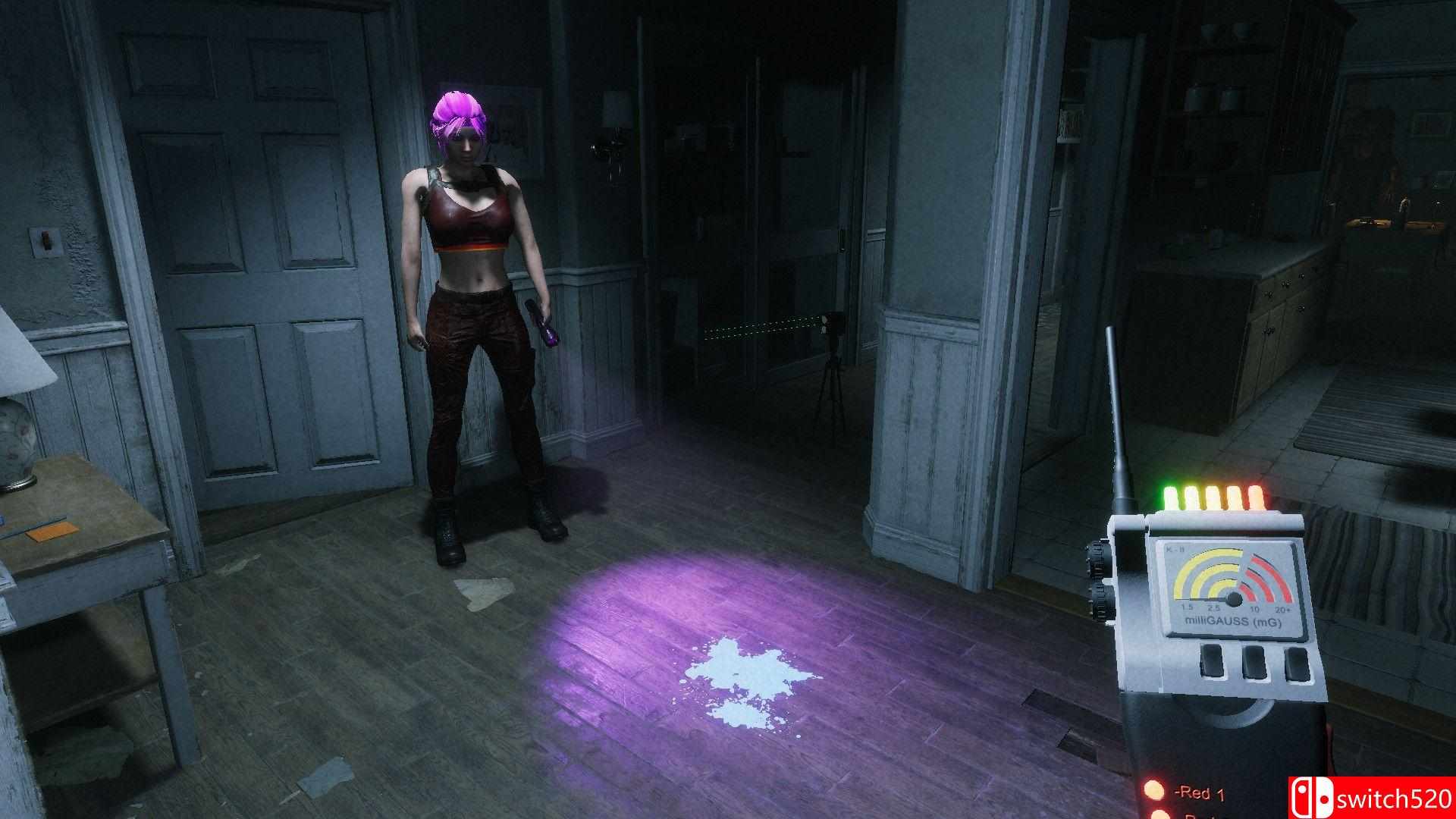 幽灵守望者游戏截图2