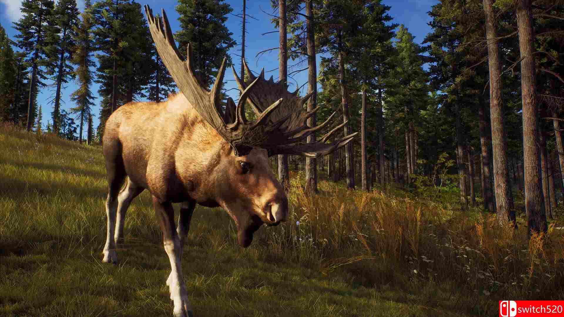 《狩猎之道（Way of the Hunter）》集成Tikamoon Plains DLC RUNE镜像版[CN/TW/EN/JP]_1