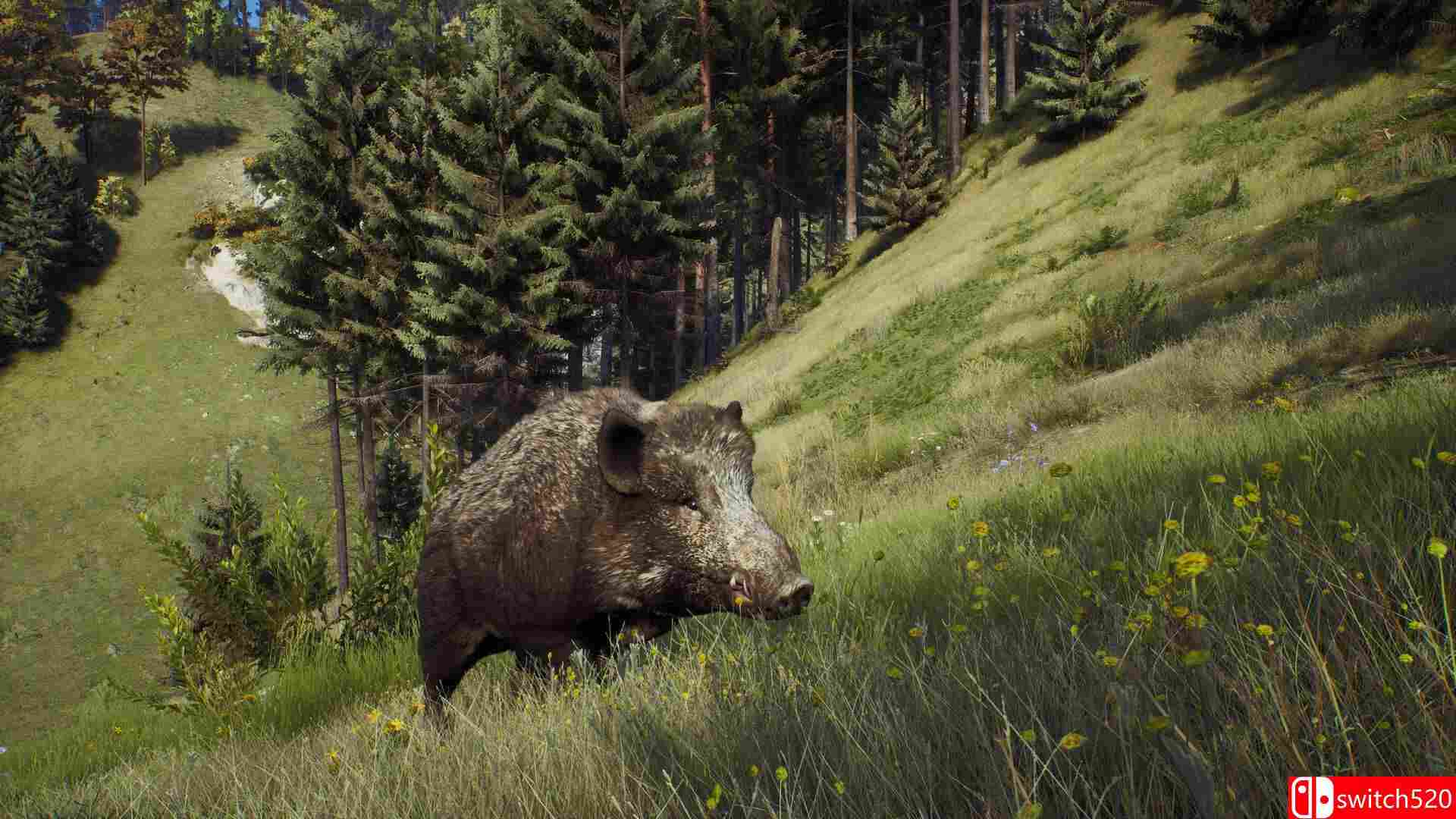 《狩猎之道（Way of the Hunter）》集成Tikamoon Plains DLC RUNE镜像版[CN/TW/EN/JP]_4