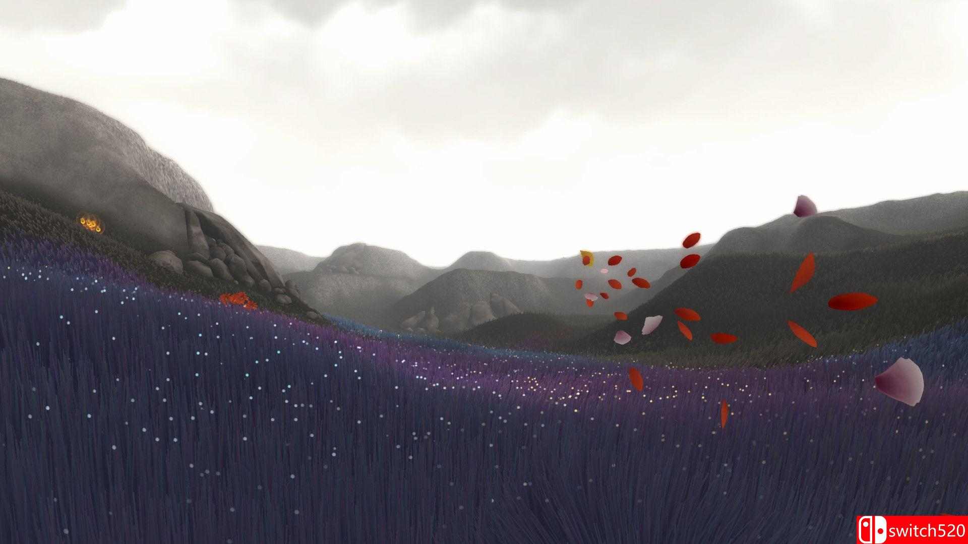 《花（Flower）》游戏截图2