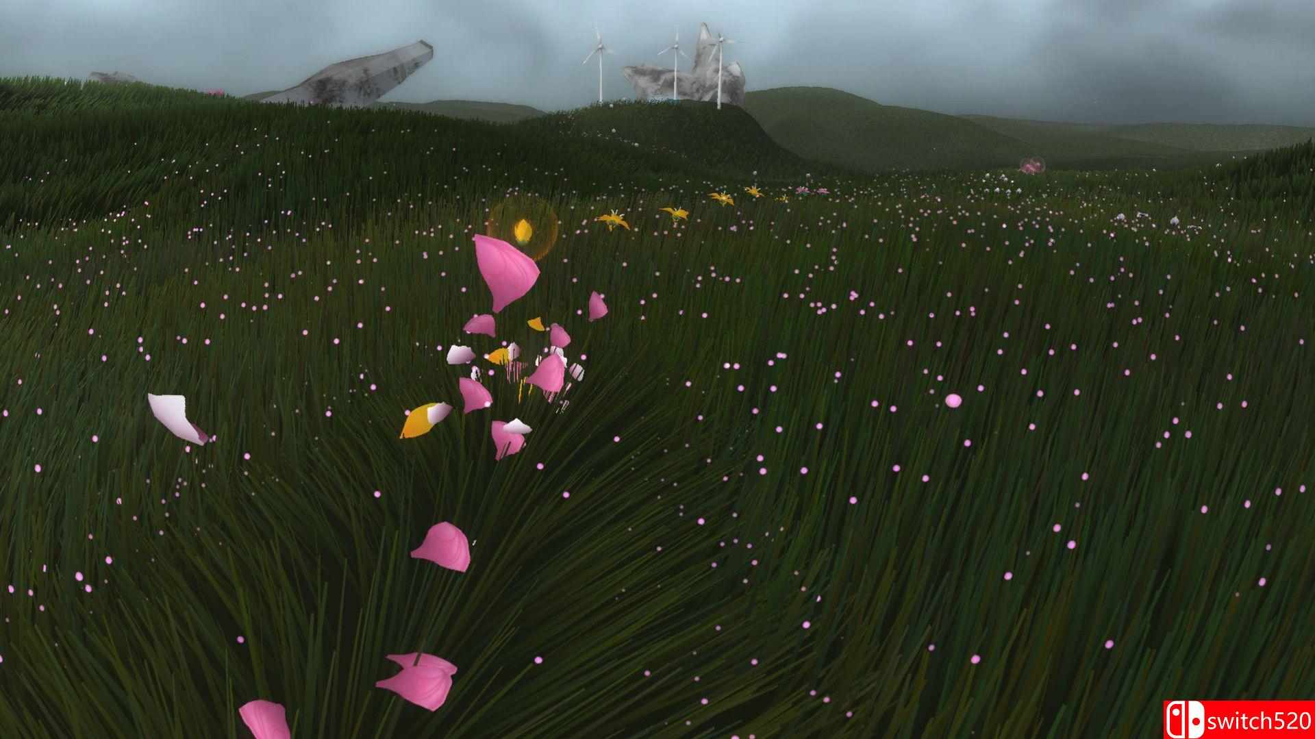 《花（Flower）》游戏截图5