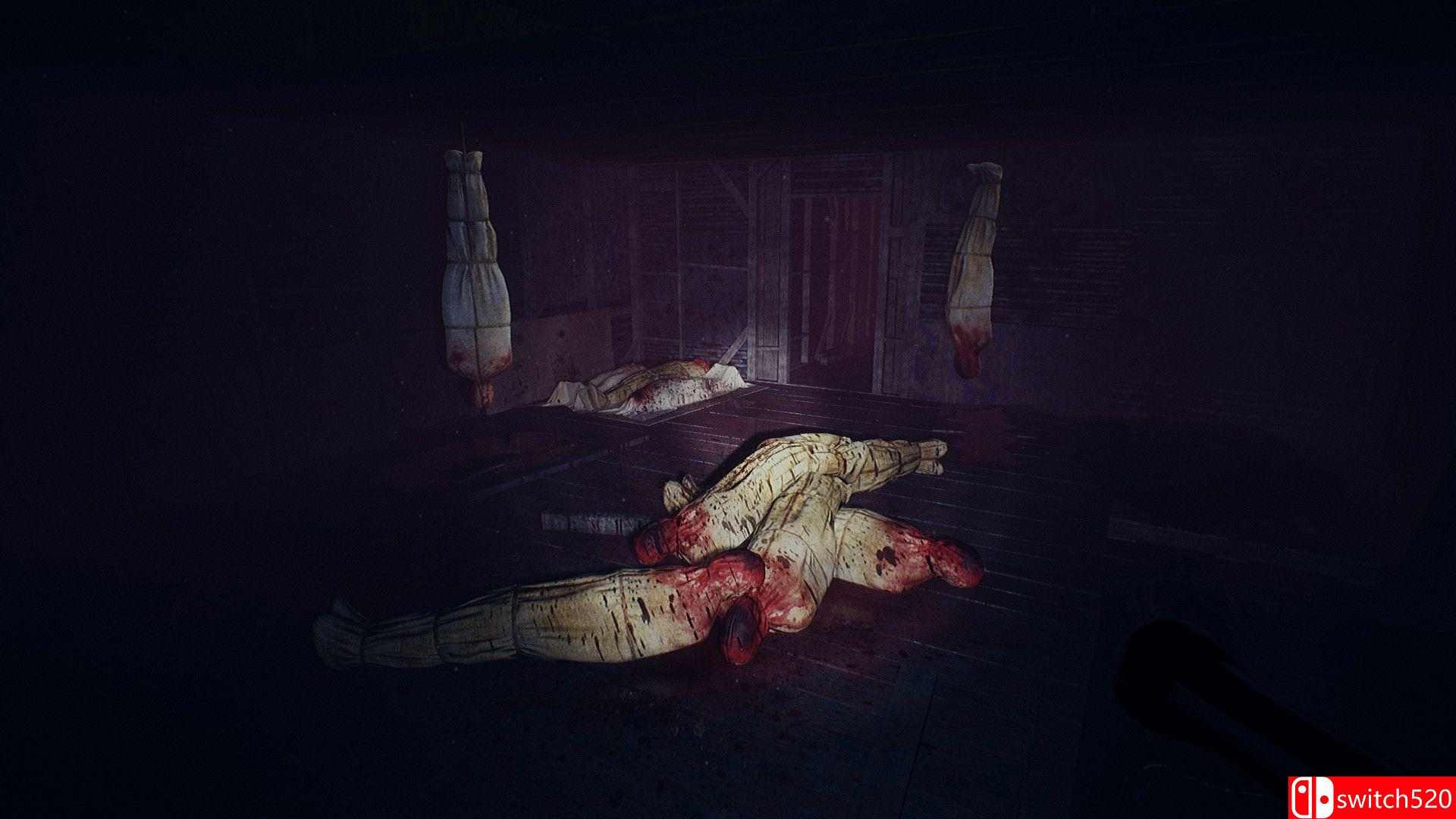 山中凶宅游戏截图4