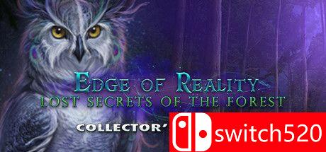 《现实边缘：丢失的森林秘密》游戏封面图