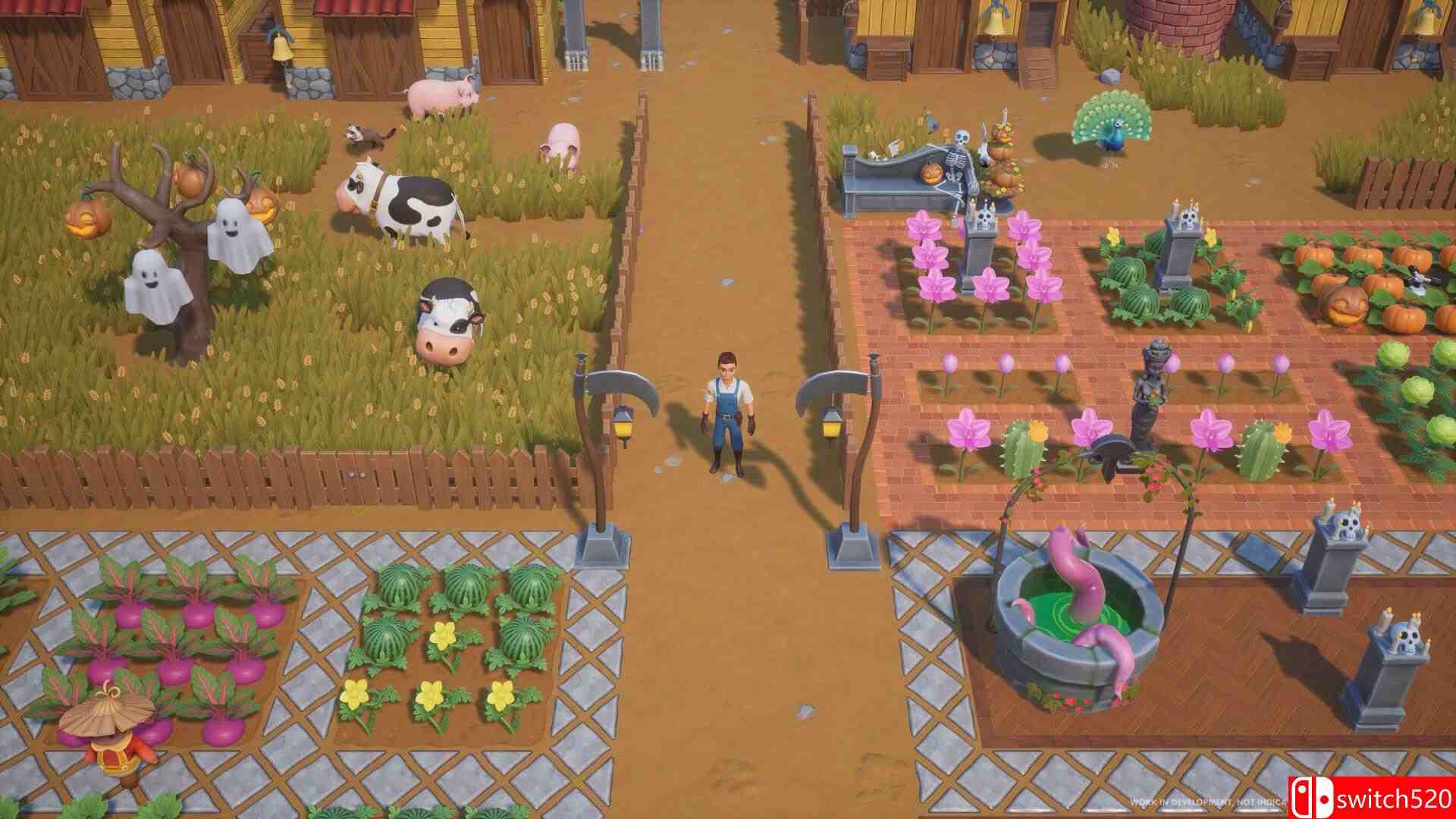 《珊瑚岛》游戏截图3