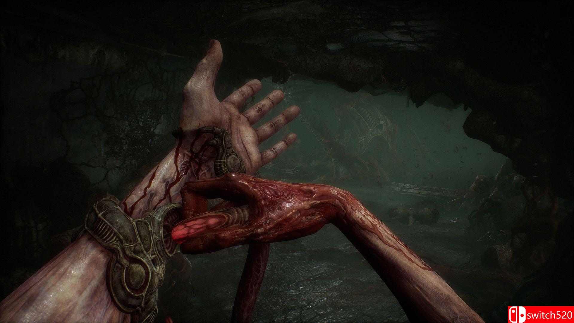 《蔑视（Scorn）》官方中文 v1.2.2.0 I_KnoW镜像版[CN/TW/EN/JP]_5