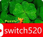 《益智假期：爱尔兰（Puzzle Vacations: Ireland）》游戏封面