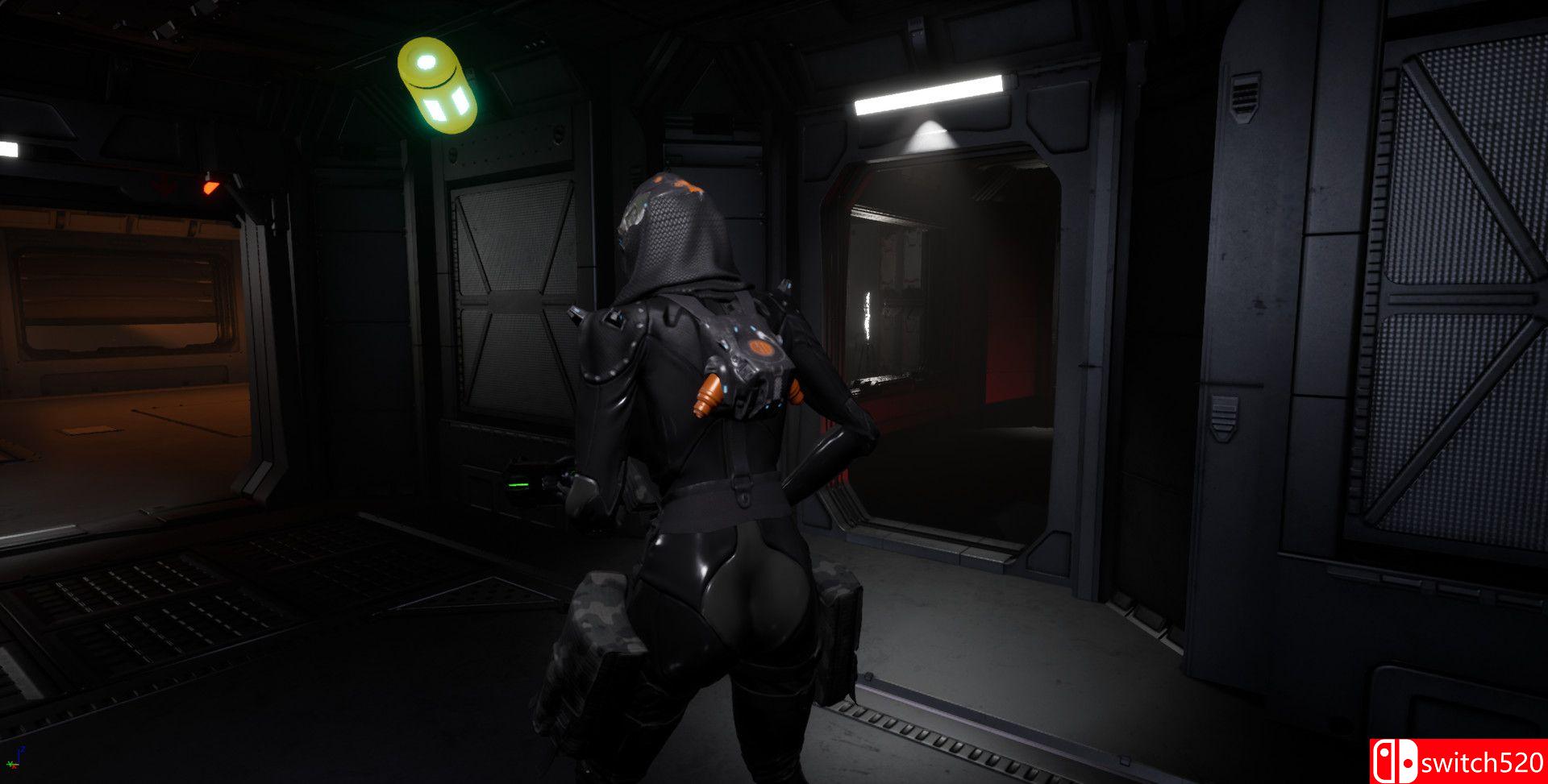 《霓虹枪（NeuraGun）》官方中文 Early Access P2P硬盘版[CN/TW/EN/JP]_3