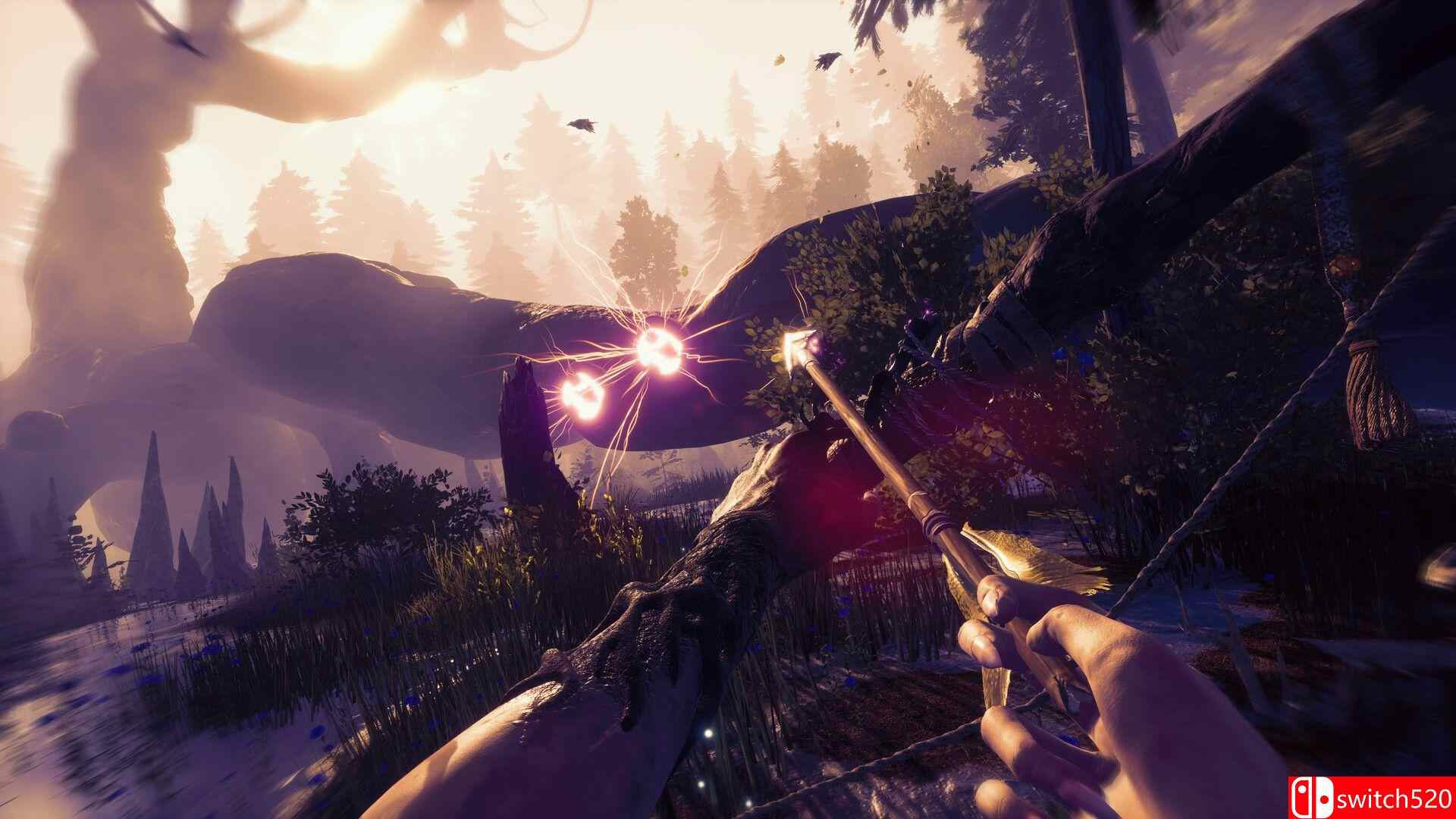 《女巫悲歌》游戏截图3