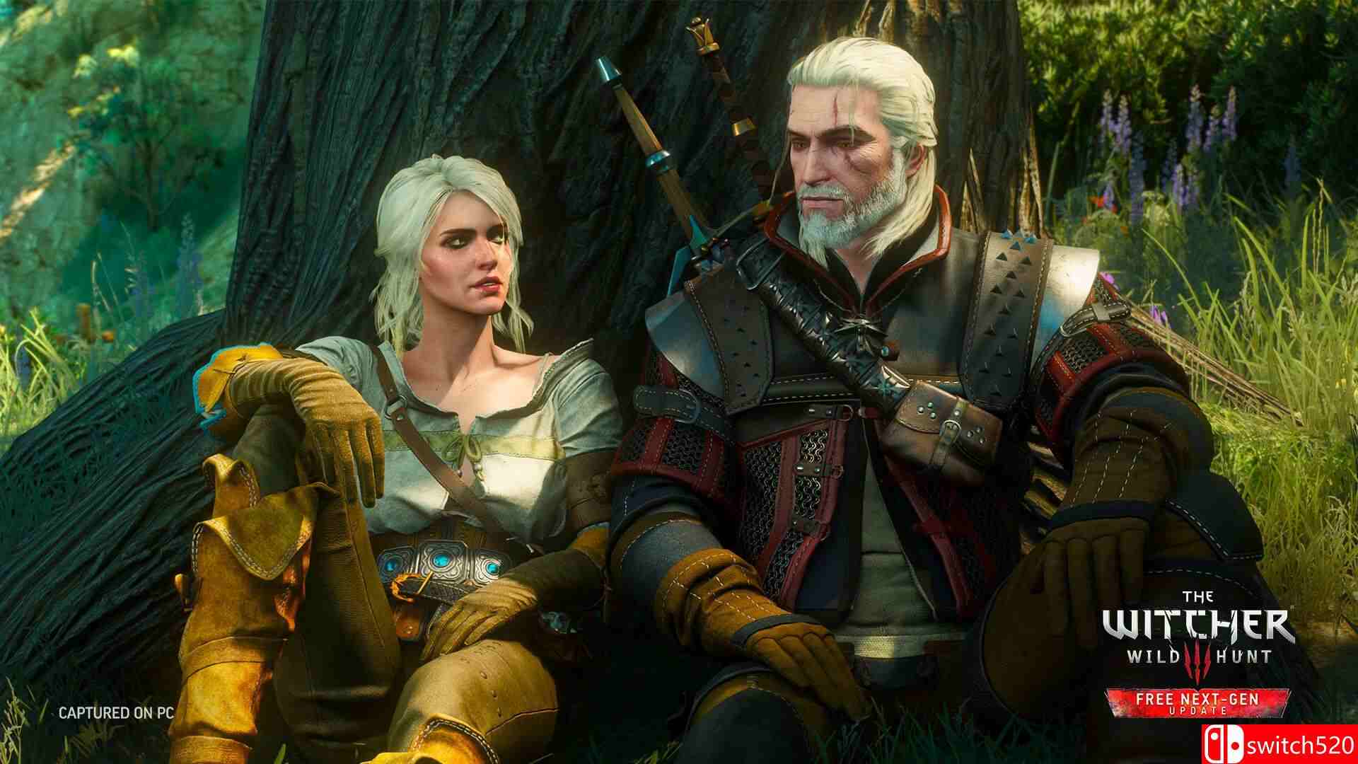 《巫师3：狂猎》游戏截图1