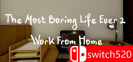 《有史以来最无聊的生活2：在家工作》游戏封面