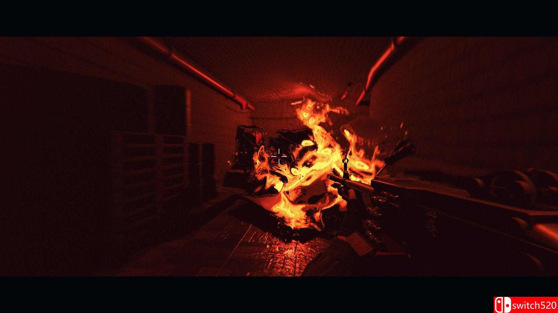 《清洁工（The Cleaner）》官方中文 TENOKE镜像版[CN/EN]_3