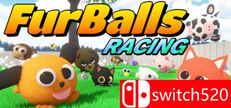 毛球赛车游戏封面