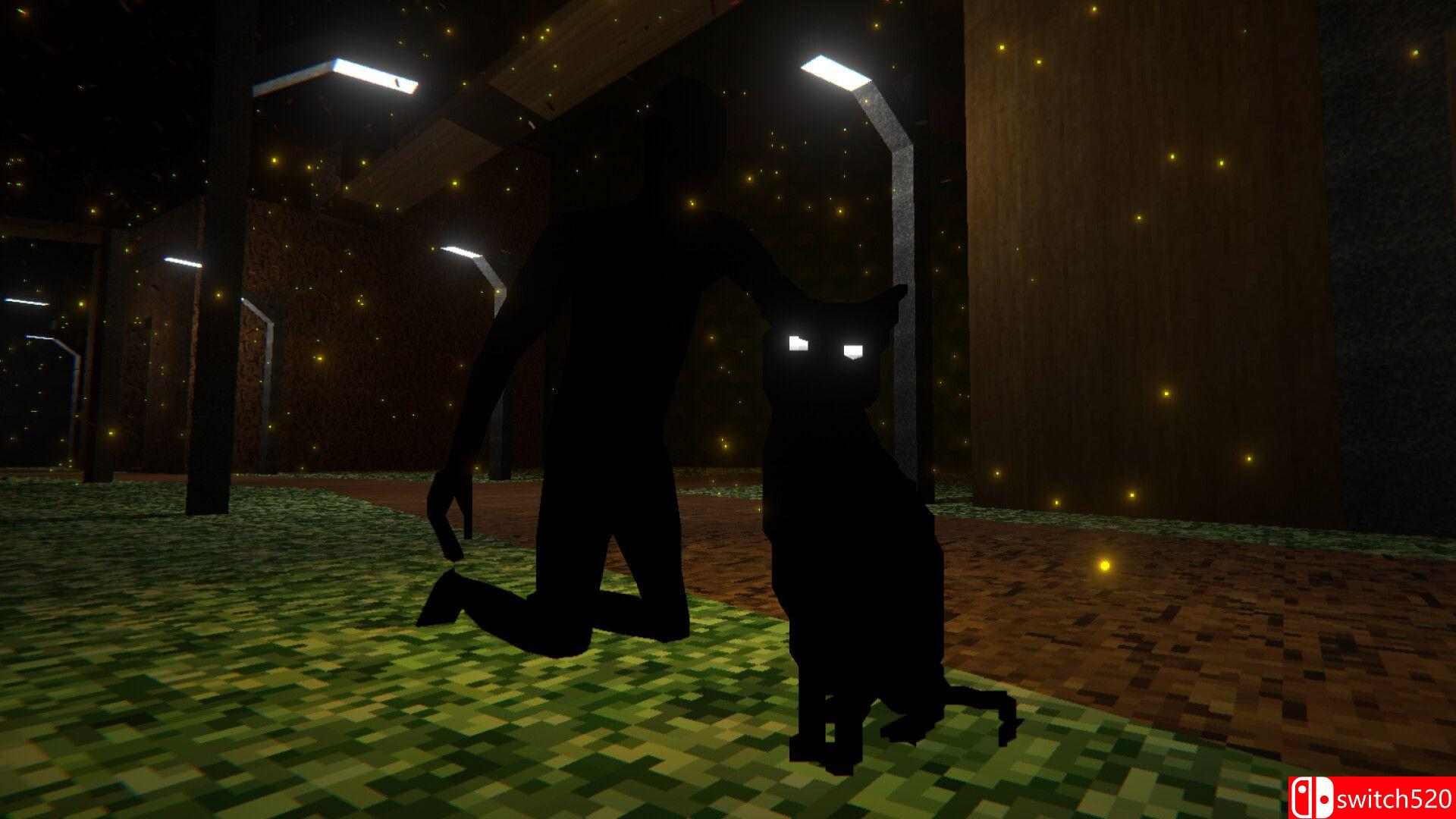 《宝丽来》游戏截图2