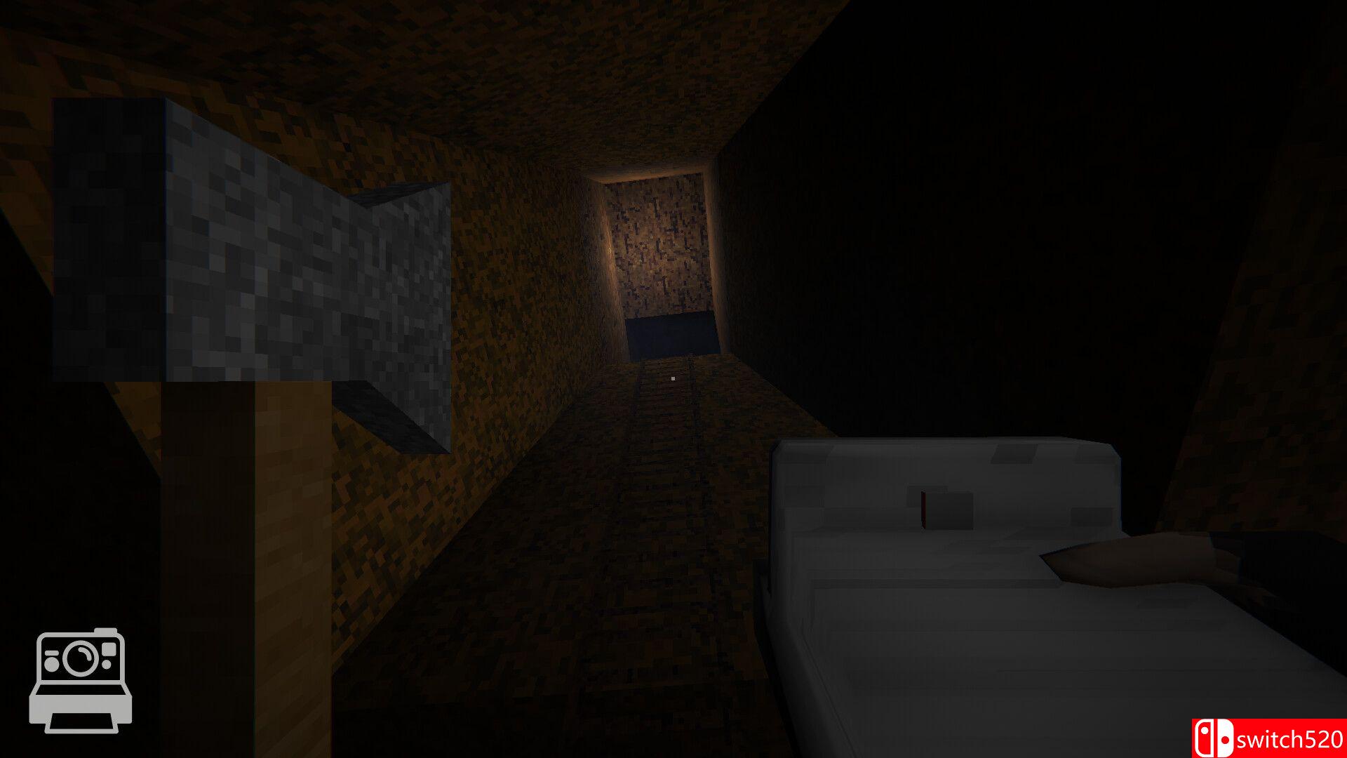 《宝丽来》游戏截图5