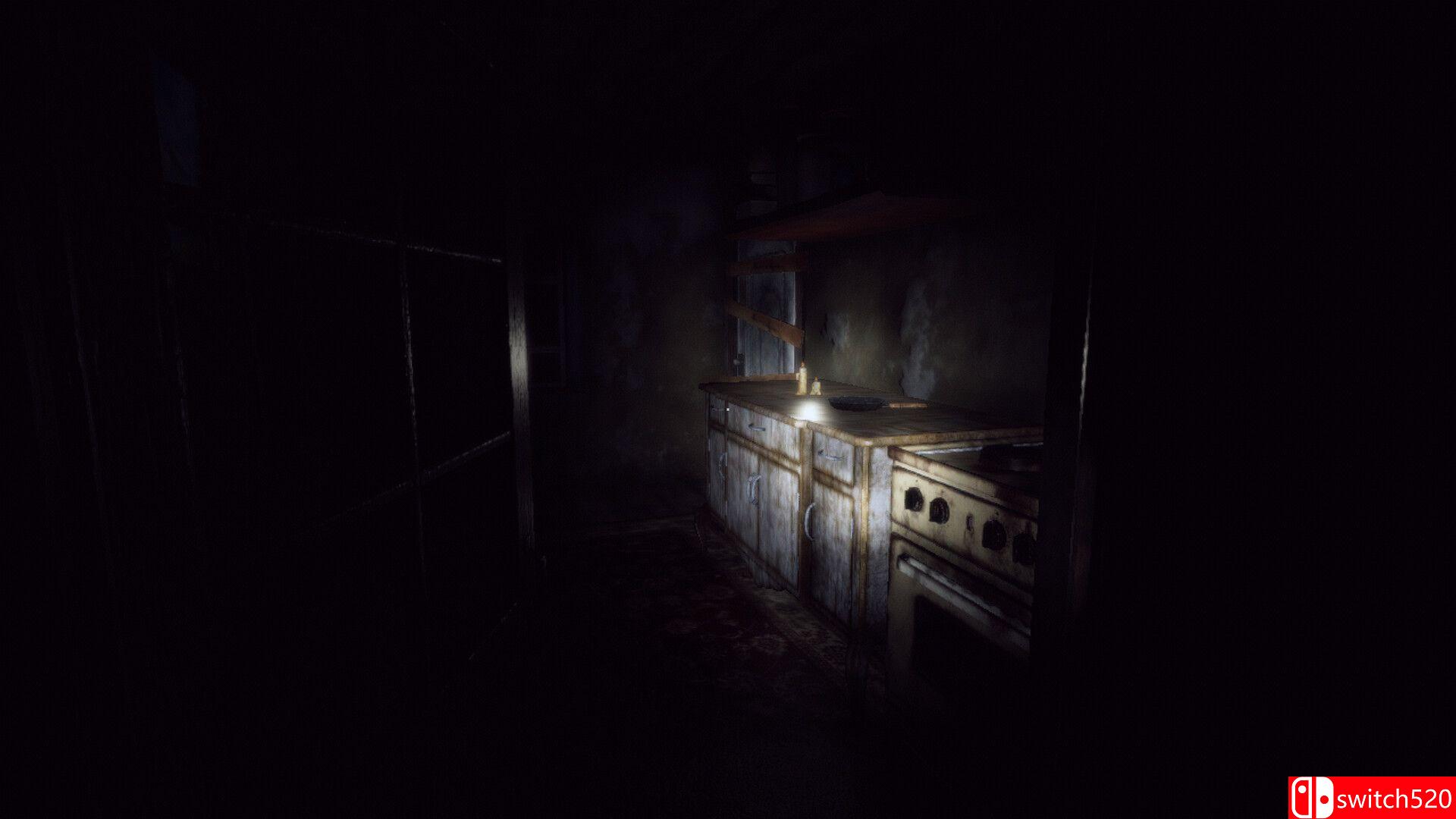 《地狱黎明（Dawn Of Hell）》TENOKE镜像版[EN]_5