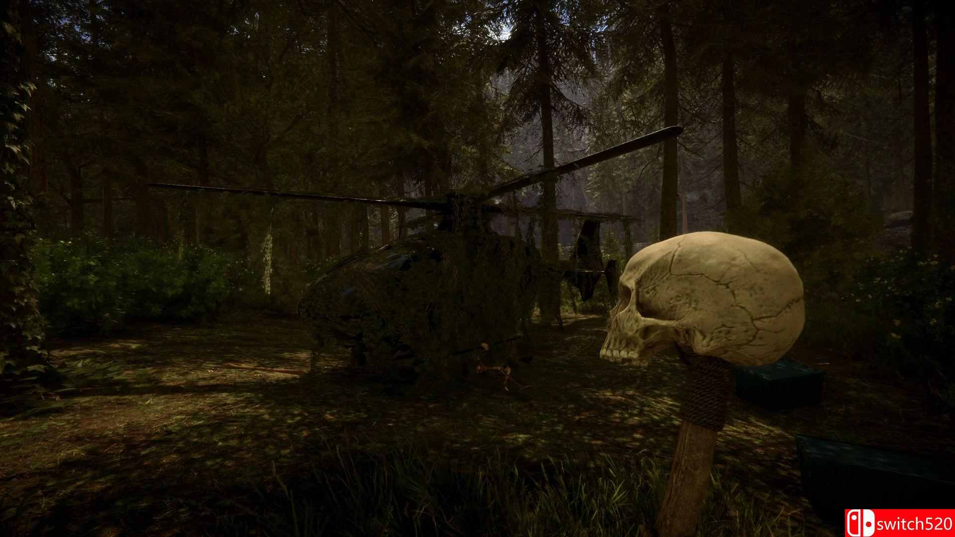 《森林之子（Sons Of The Forest）》官方中文 Early Access P2P硬盘版[CN/TW/EN/JP]_3