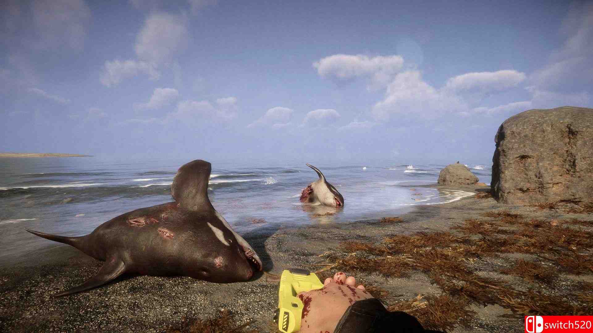 《森林之子（Sons Of The Forest）》官方中文 Early Access P2P硬盘版[CN/TW/EN/JP]_2