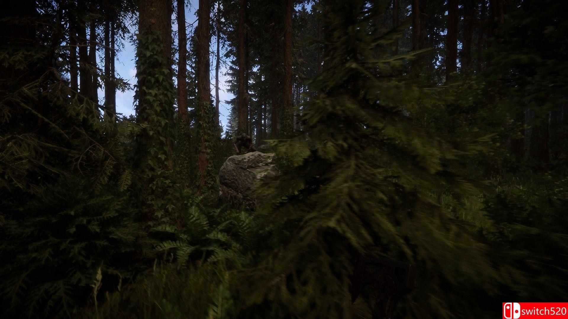 《森林之子（Sons Of The Forest）》官方中文 Early Access P2P硬盘版[CN/TW/EN/JP]_4