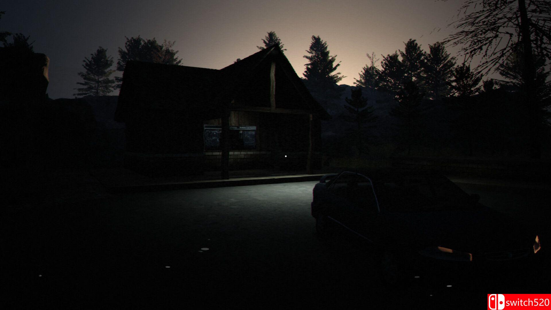 《猫头鹰人》游戏截图2