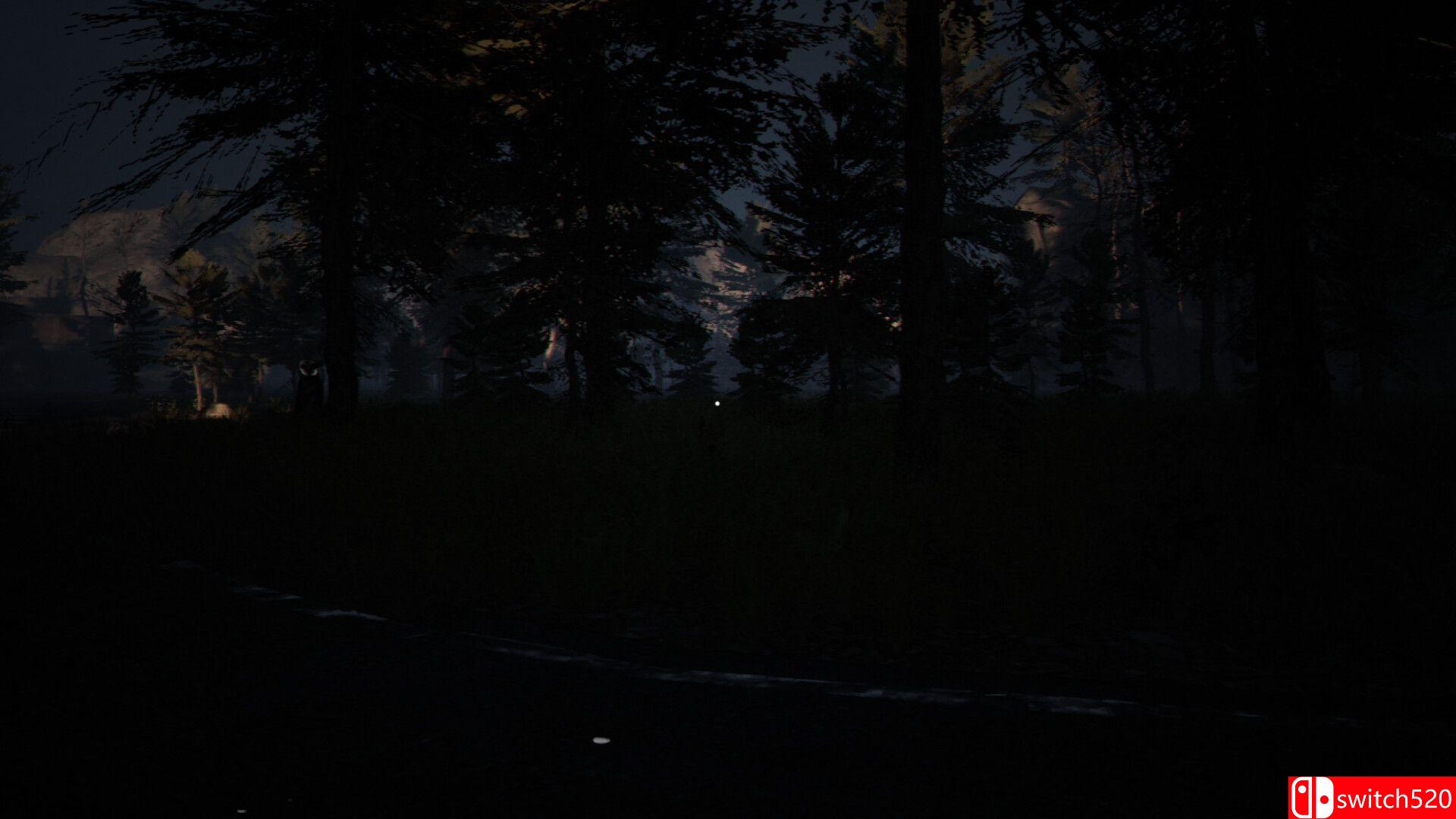 《猫头鹰人》游戏截图3