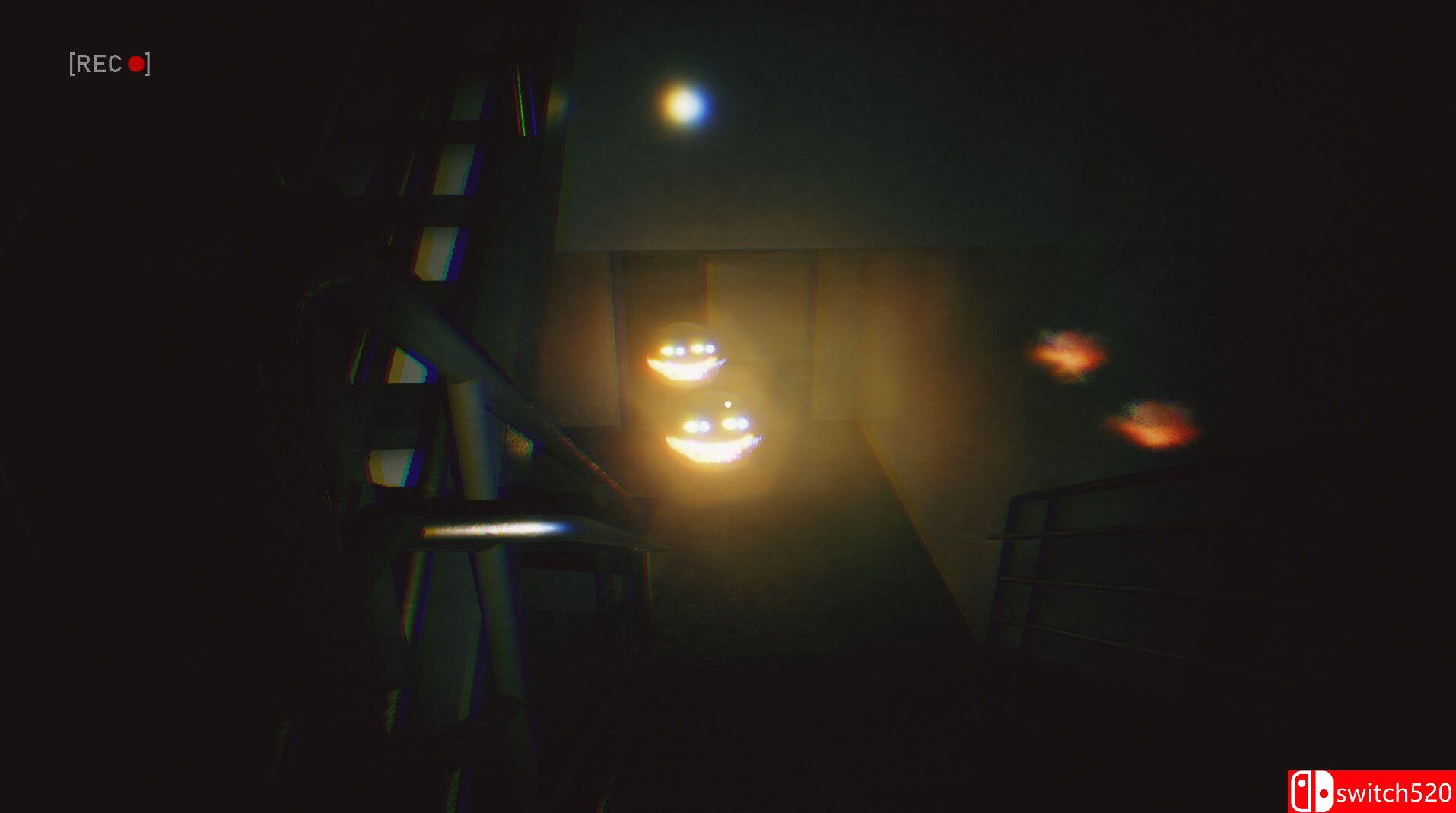 《文森特的恐怖故事》游戏截图3