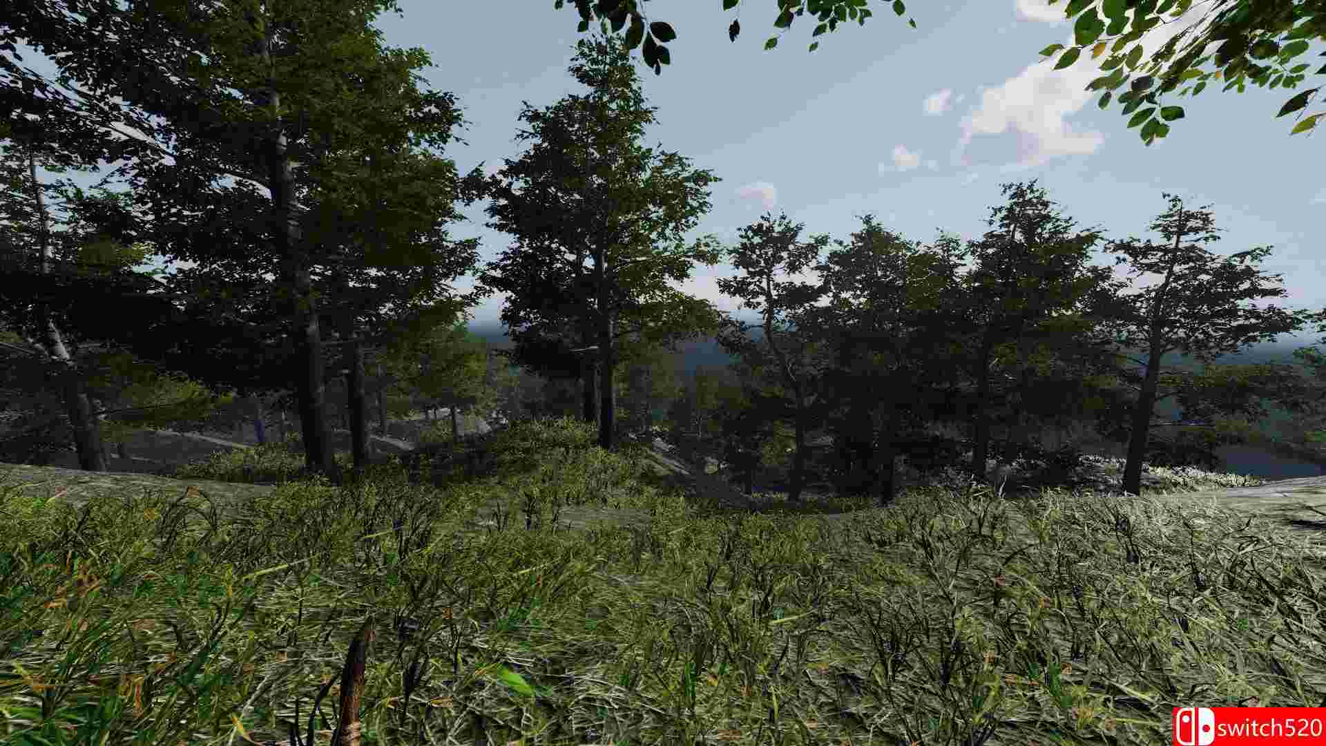 《凄凉孤岛》游戏截图1