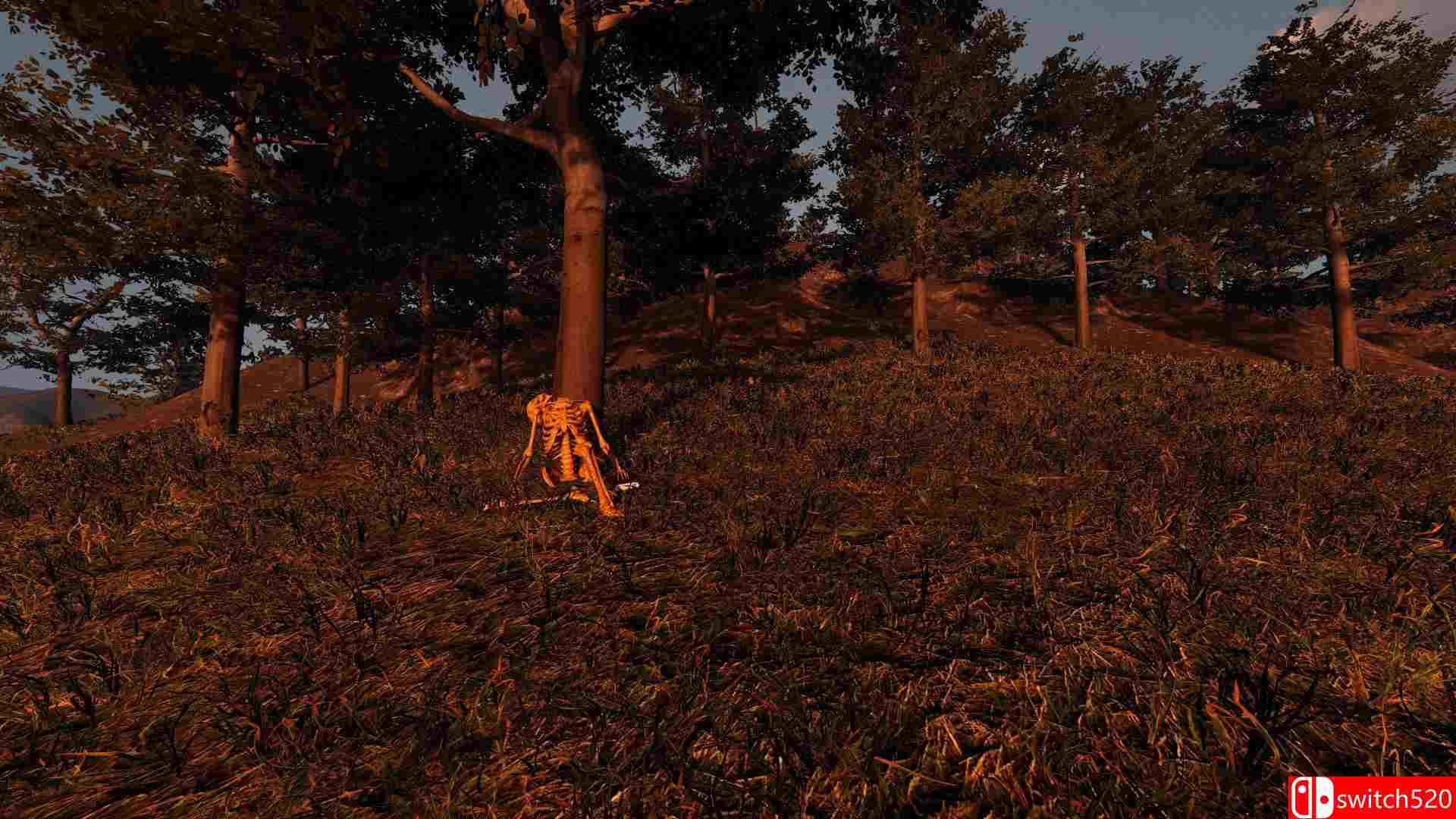 《凄凉孤岛》游戏截图2