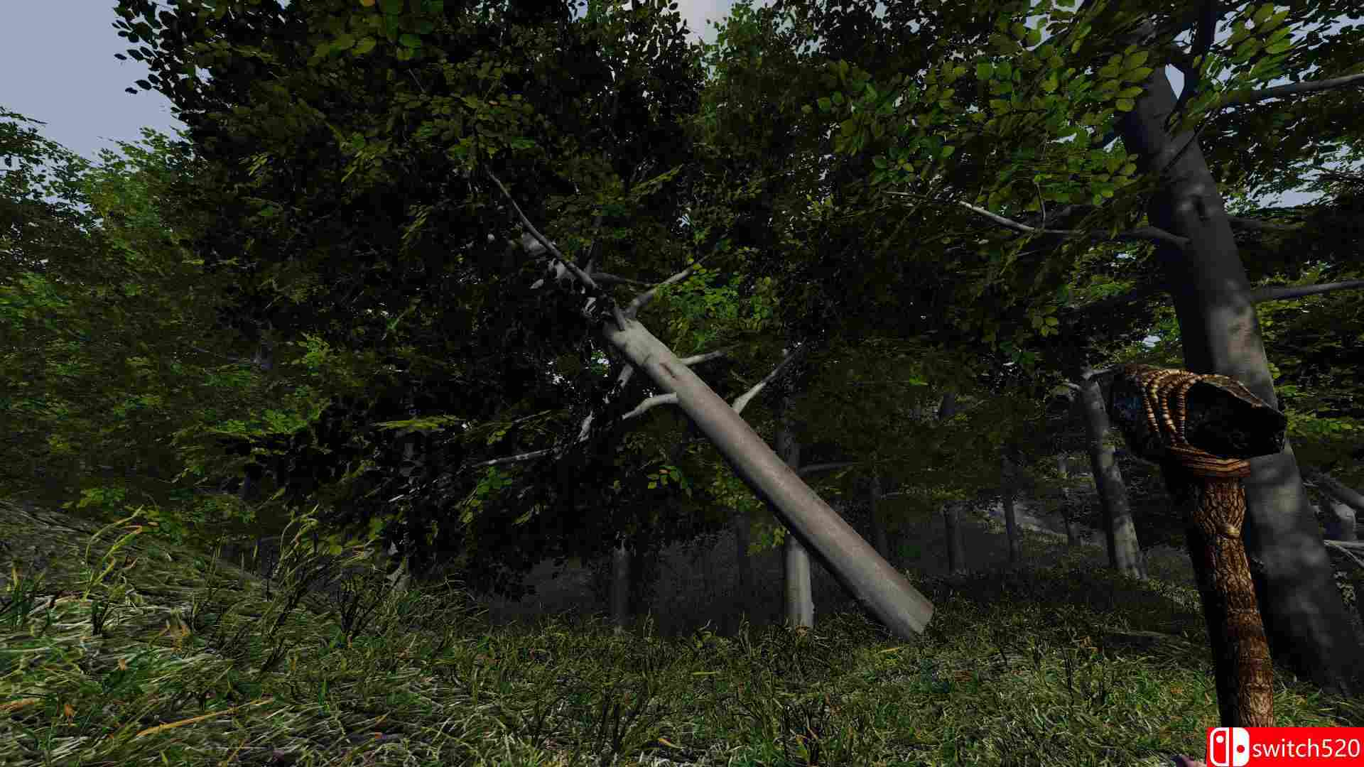 《凄凉孤岛》游戏截图4