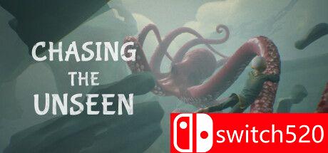 《追逐未知（Chasing the Unseen）》游戏封面图