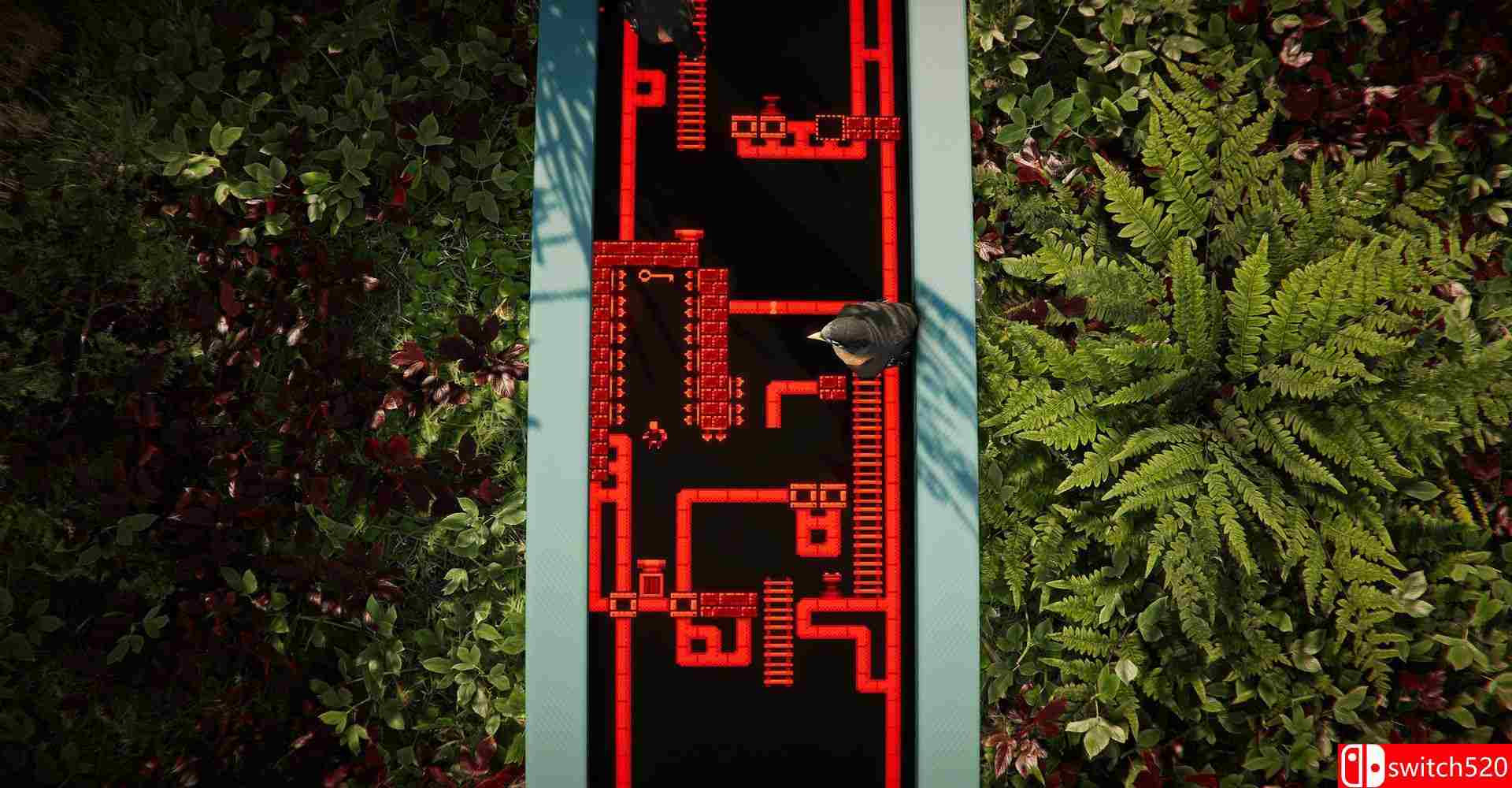 《森林大教堂（The Forest Cathedral）》TENOKE镜像版[EN]_1