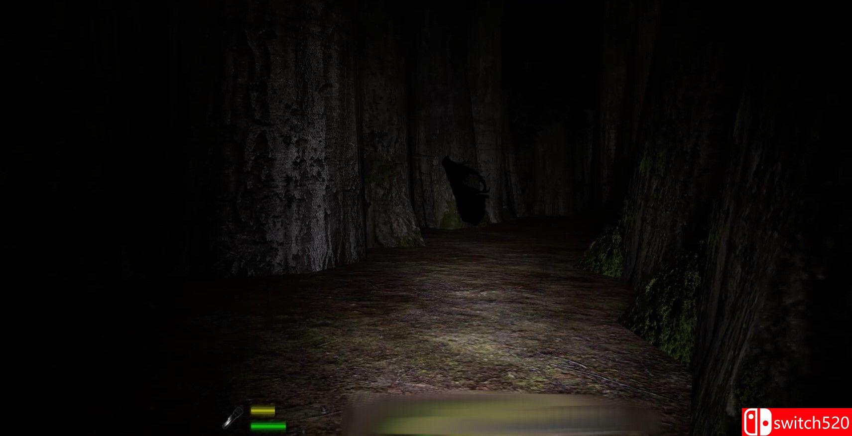 《迷宫：迷失在黎明前（Labyrinthian: Lost 'Til Dawn）》TENOKE镜像版[EN]_1