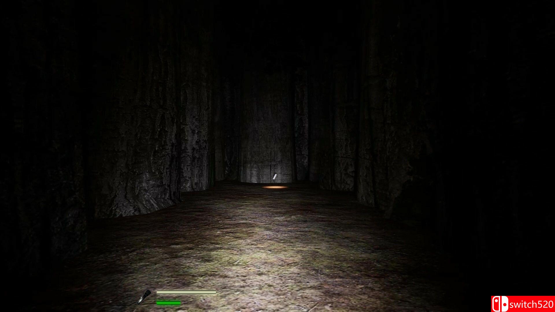 《迷宫：迷失在黎明前（Labyrinthian: Lost 'Til Dawn）》TENOKE镜像版[EN]_4