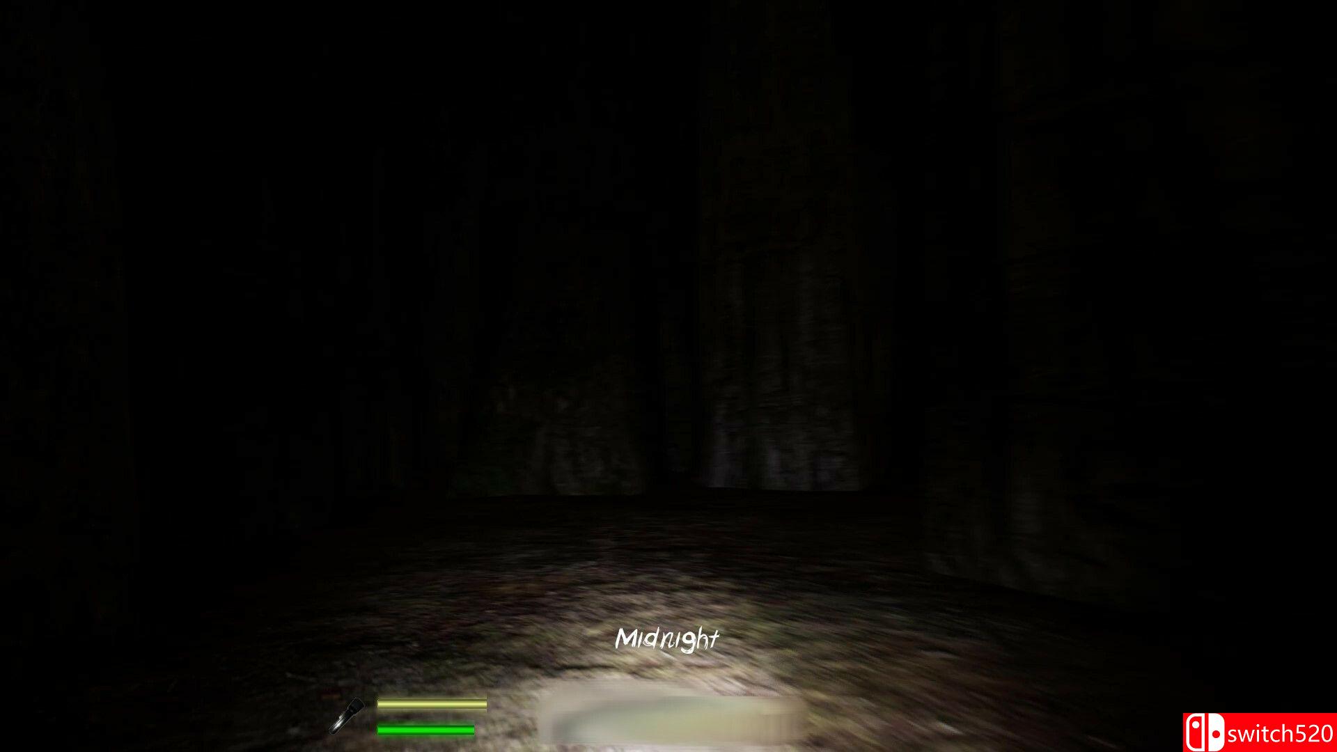 《迷宫：迷失在黎明前（Labyrinthian: Lost 'Til Dawn）》TENOKE镜像版[EN]_5