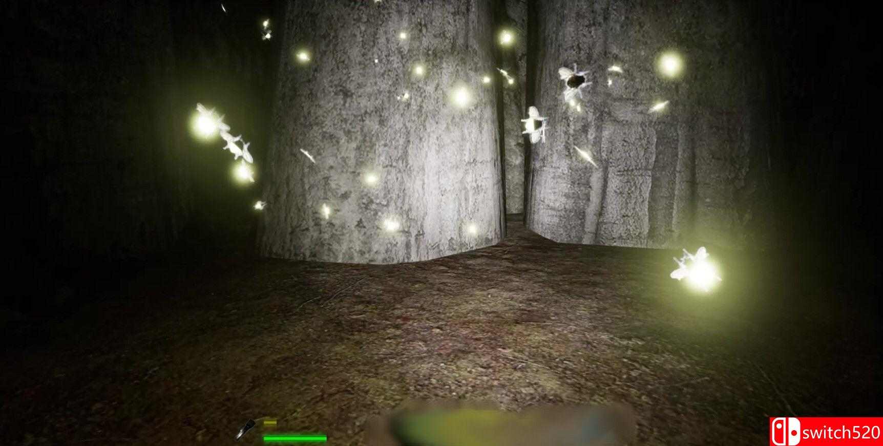 《迷宫：迷失在黎明前（Labyrinthian: Lost 'Til Dawn）》TENOKE镜像版[EN]_2