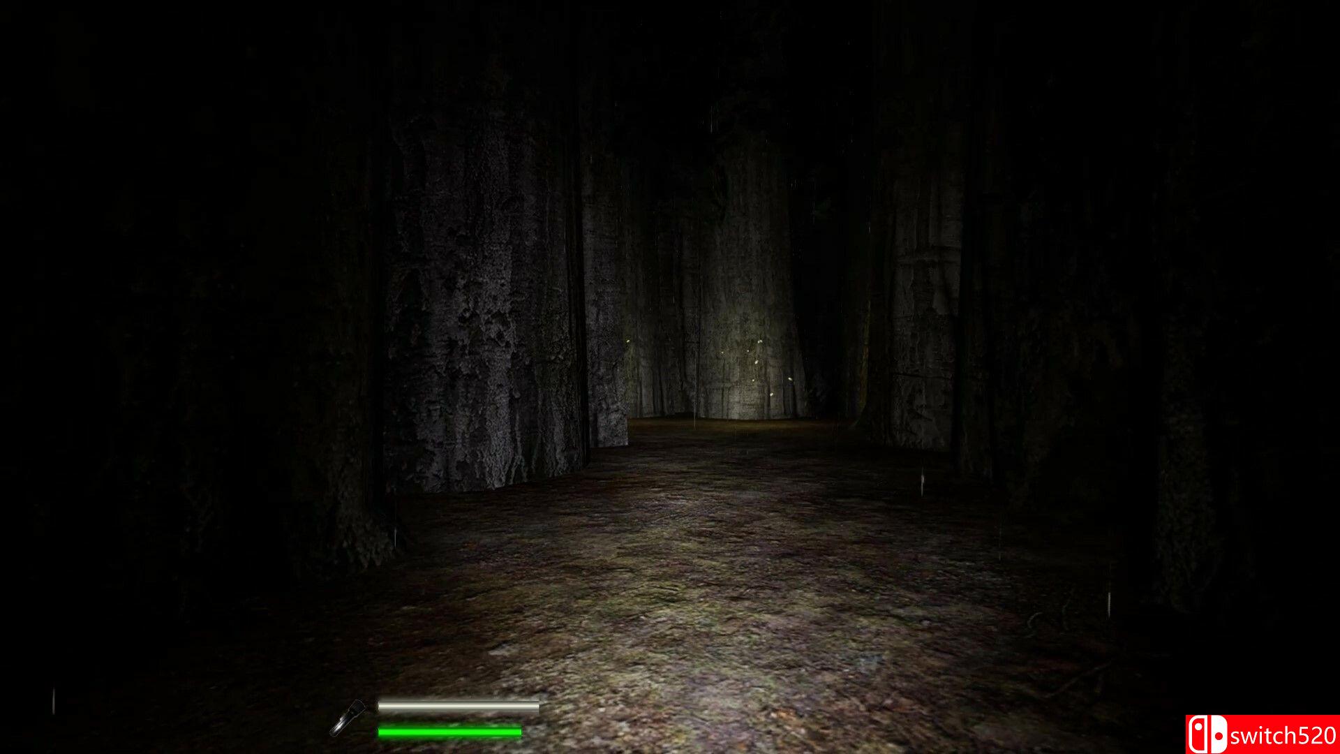 《迷宫：迷失在黎明前（Labyrinthian: Lost 'Til Dawn）》TENOKE镜像版[EN]_3