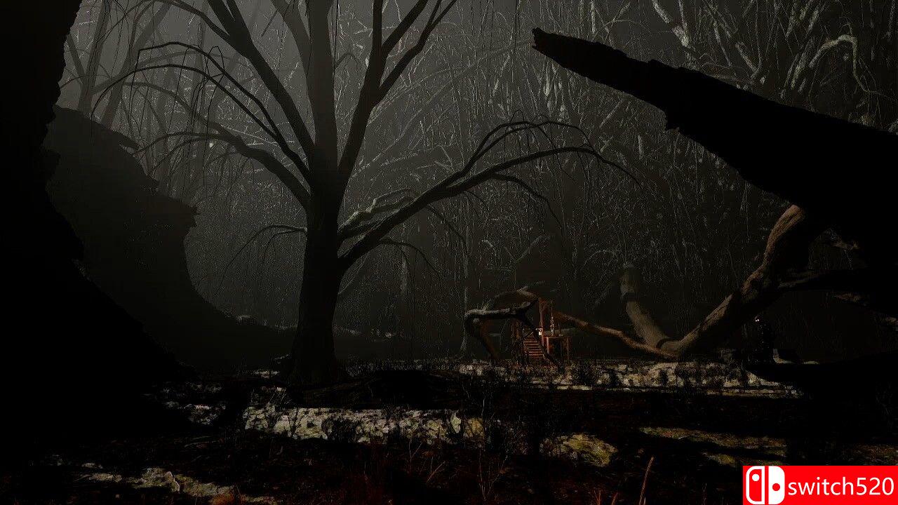 《被黑暗吞噬》游戏截图3