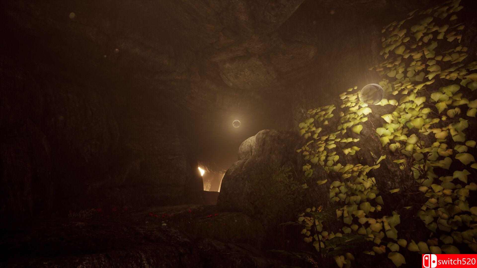 《编号217721（Number 217721）》TENOKE镜像版[EN]_2