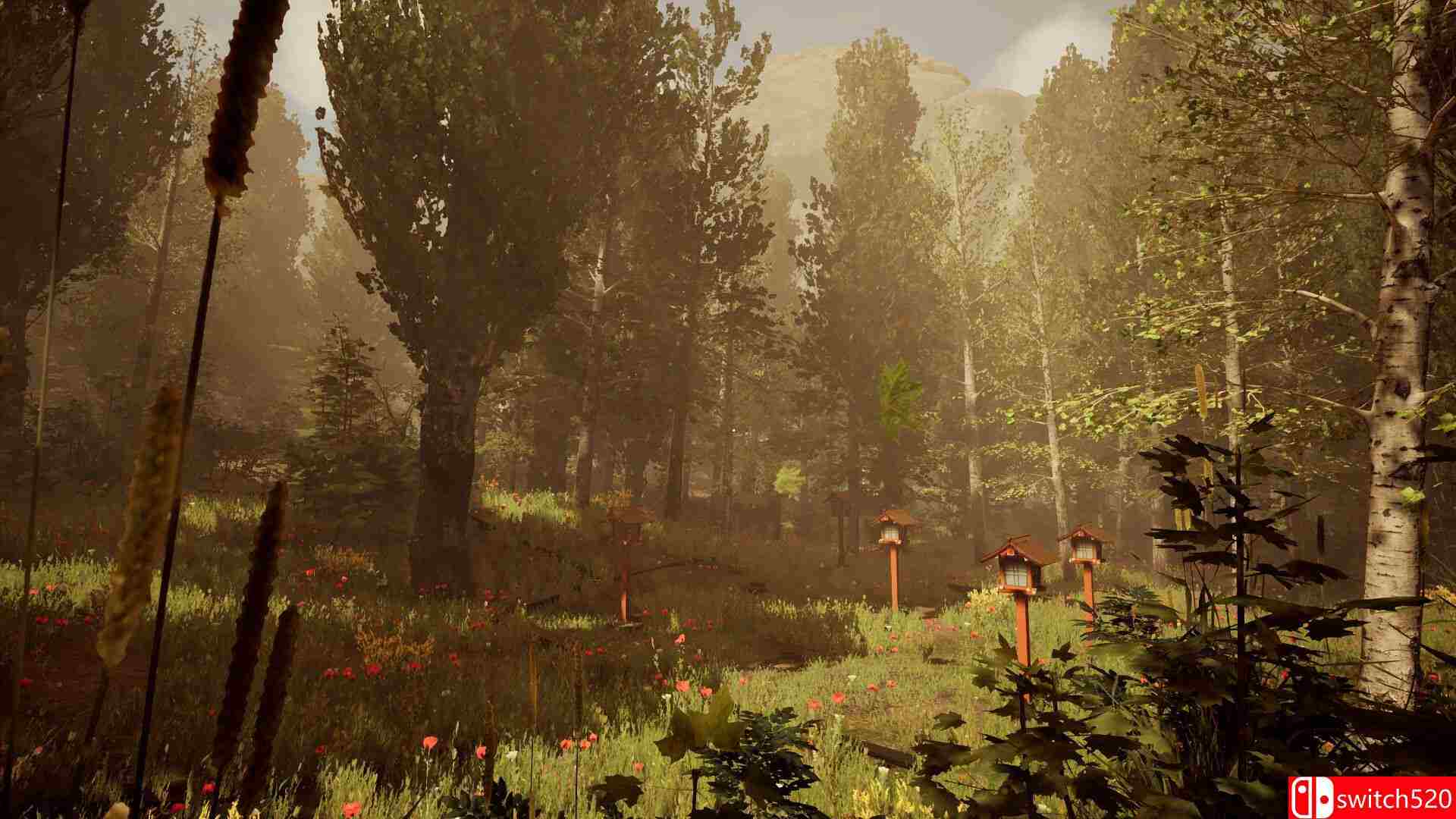 《编号217721（Number 217721）》TENOKE镜像版[EN]_4