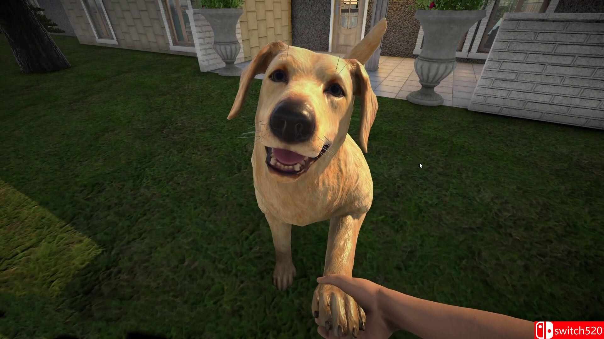 《宠物旅馆（Pets Hotel）》TENOKE镜像版[CN/TW/EN/JP]_1