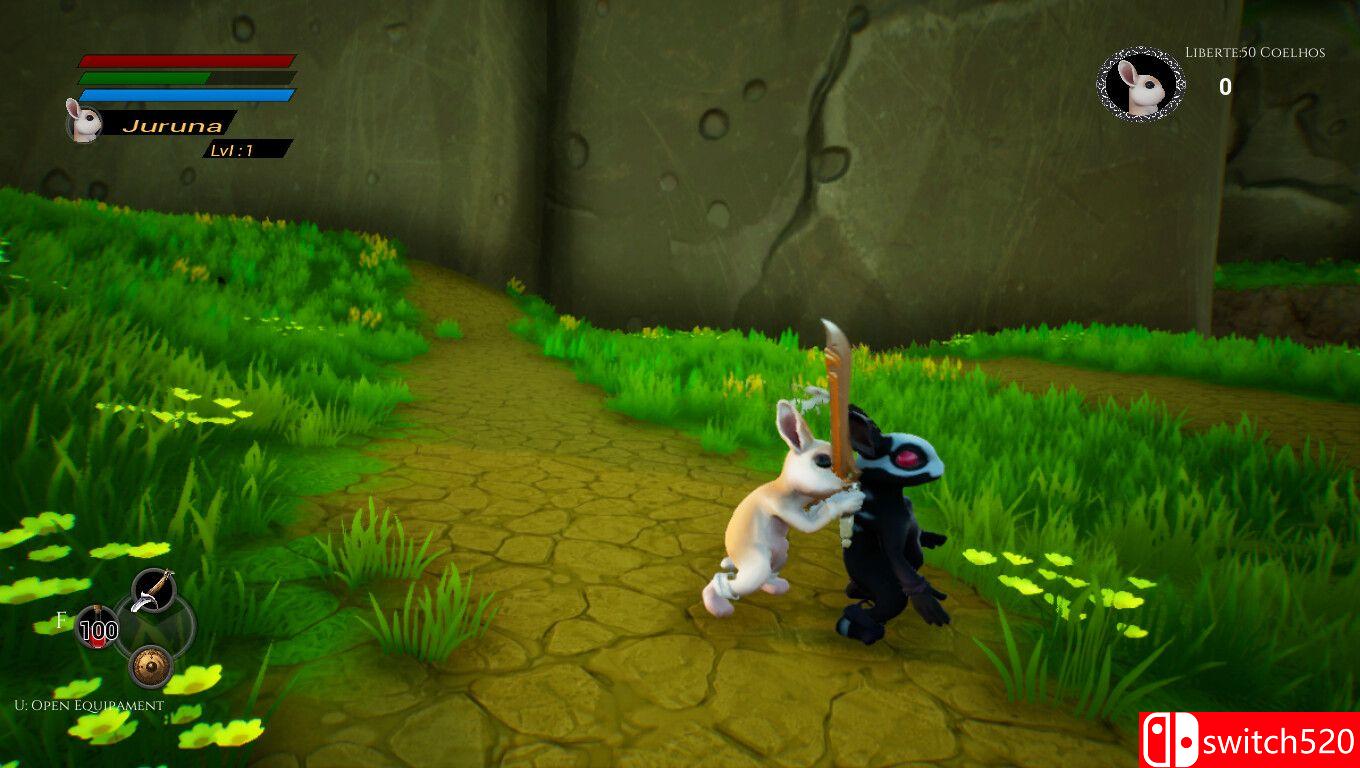 《茱莉娜游戏（Juruna Game）》TENOKE镜像版[EN]_2