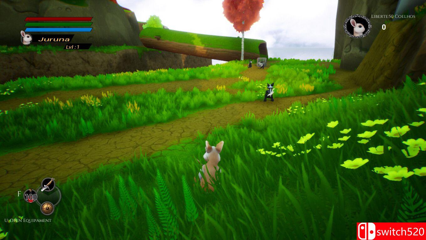 《茱莉娜游戏（Juruna Game）》TENOKE镜像版[EN]_1