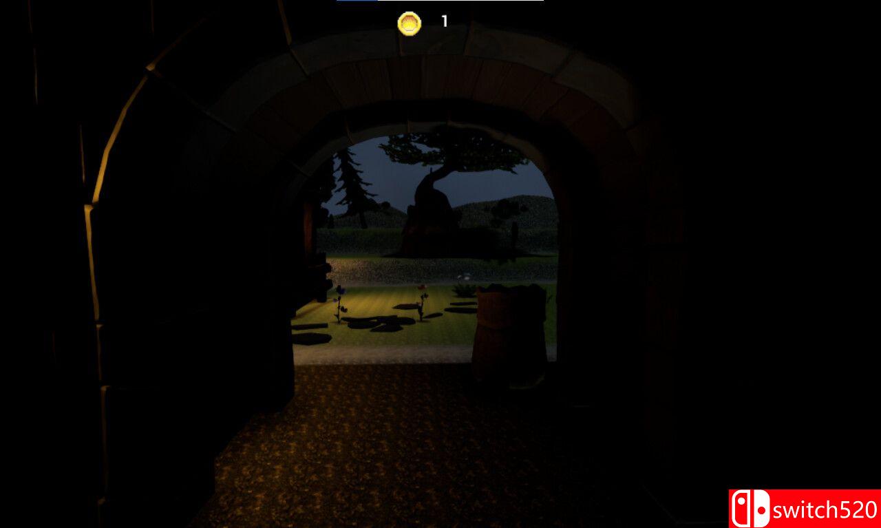 《中世纪猎币（Medieval Coin Hunt）》TENOKE镜像版[EN]_3