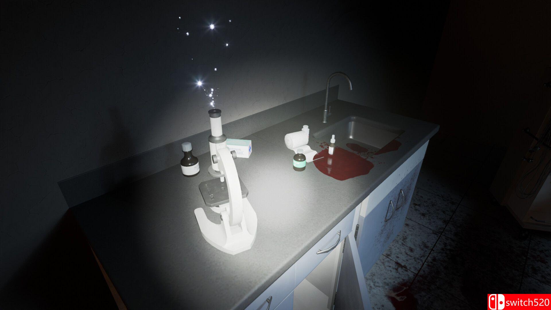 《仪式（Ritual）》游戏截图3