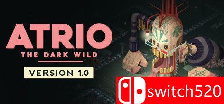 《阿特里奥：黑暗的荒野》游戏主图