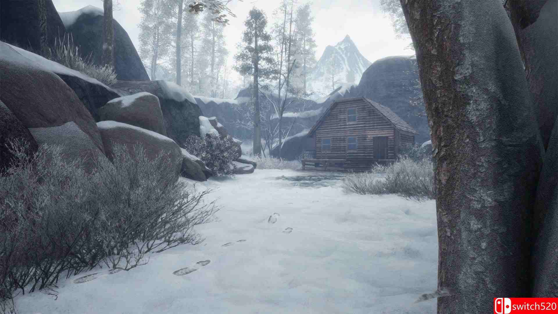 《瓶子：朝圣者》游戏截图5