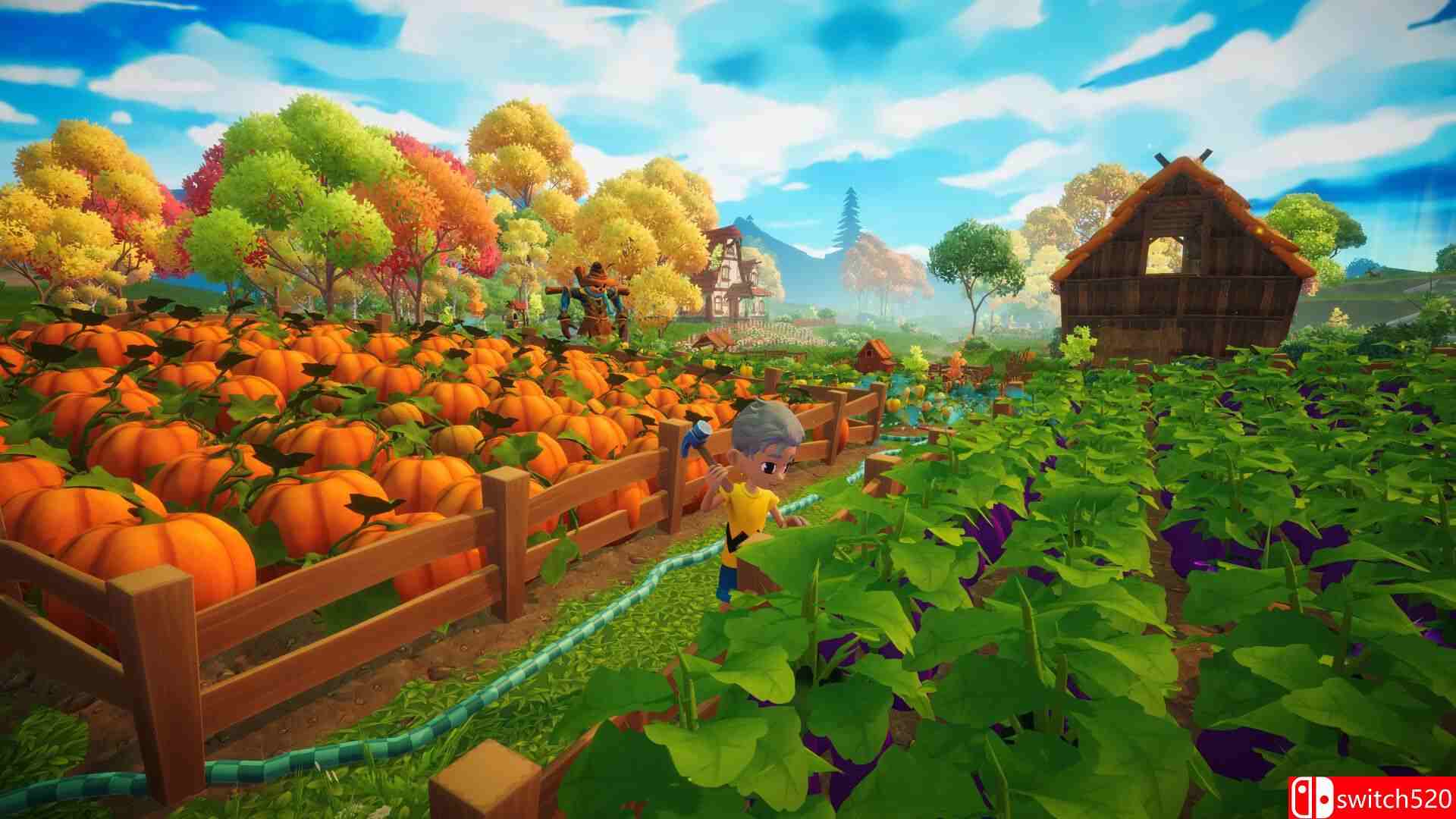 梦幻谷游戏截图5