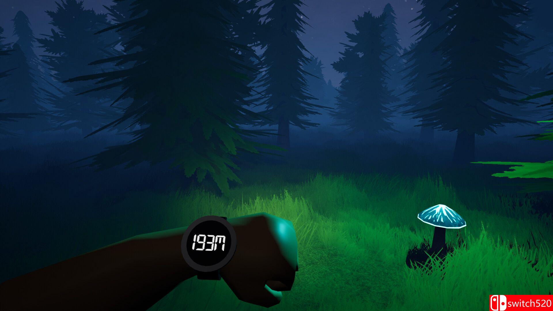 Noitapeli游戏截图2