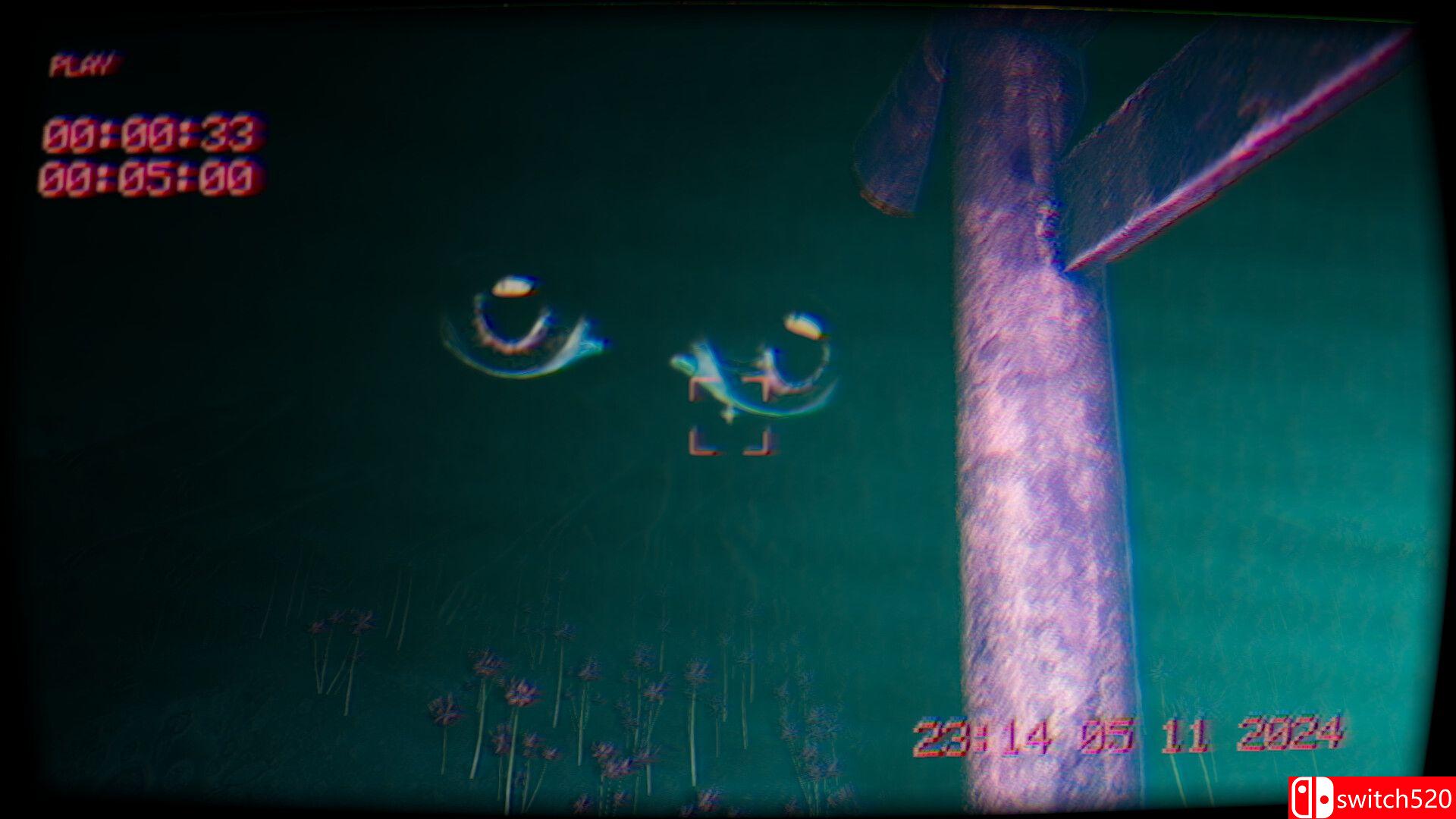 《在录像中（In the footage）》官方中文 TENOKE镜像版[EN/JP]_1