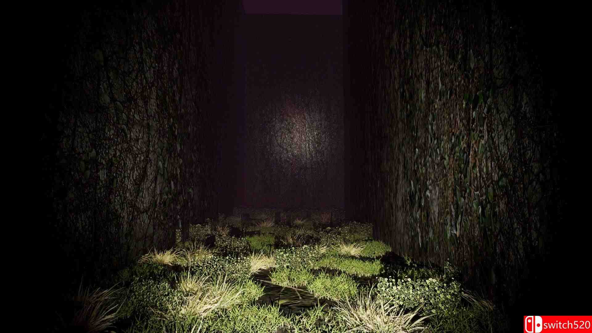 《恐惧演化（Convolution of Fear）》TENOKE镜像版[EN]_3